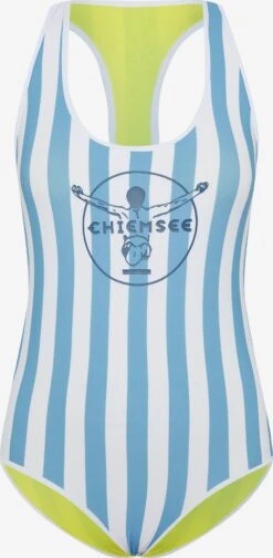 Chiemsee Grote Cups Bustier Badpak Dames Blauw / Wit